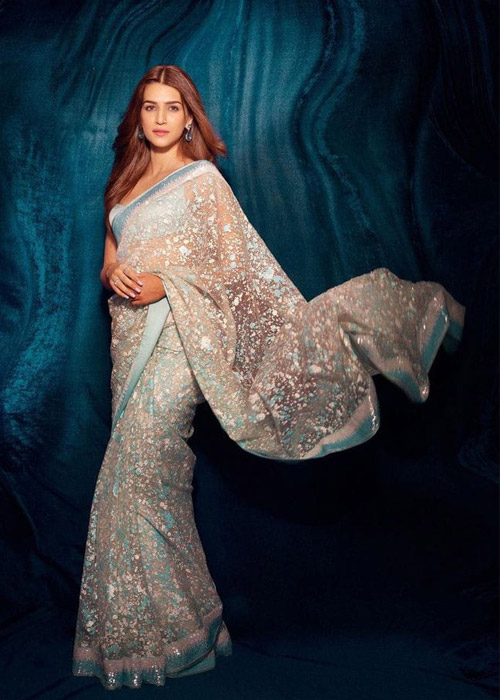 Multicolor Organza Saree