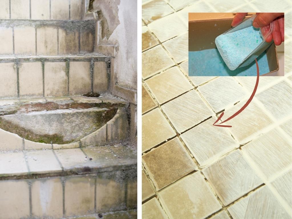 moss tiles washing powder