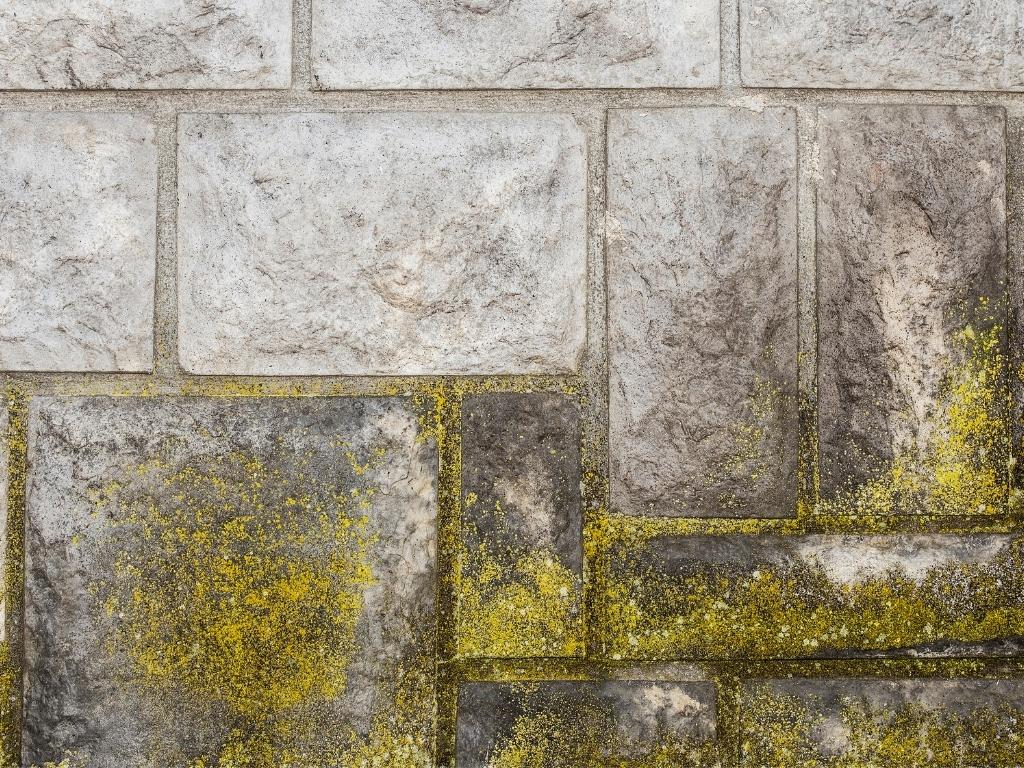 moss tiles