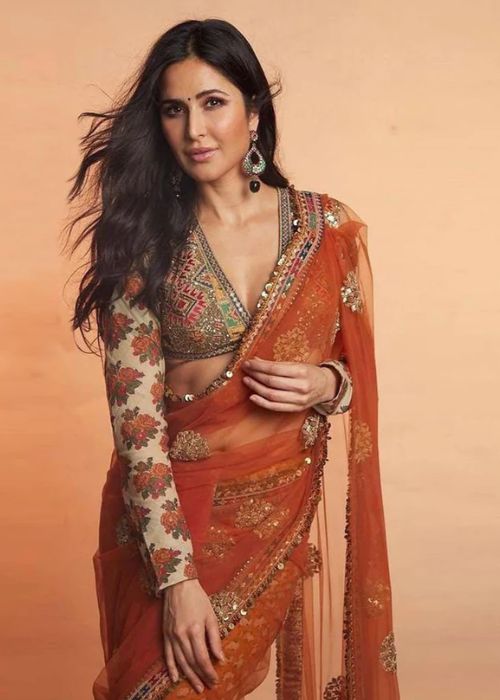 4 Net Designer Orange Saree