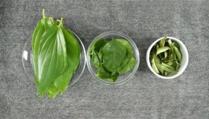paan leaves hibiscus leaves curry leaves